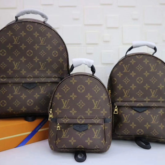 Louis Vuitton Monogram Packback Bag