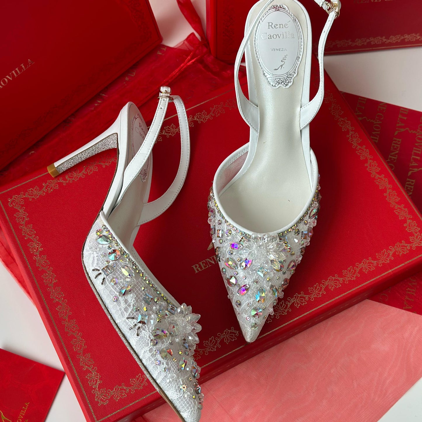 Rene Caovilla Style #14 Shoes