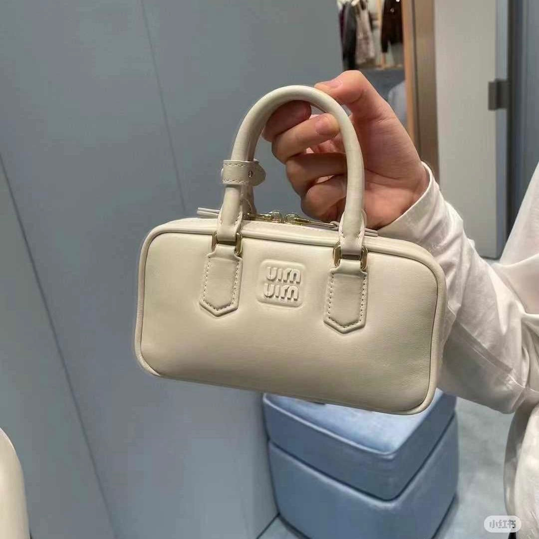 Miu Miu Arcadie Leather mini-Regular Bag