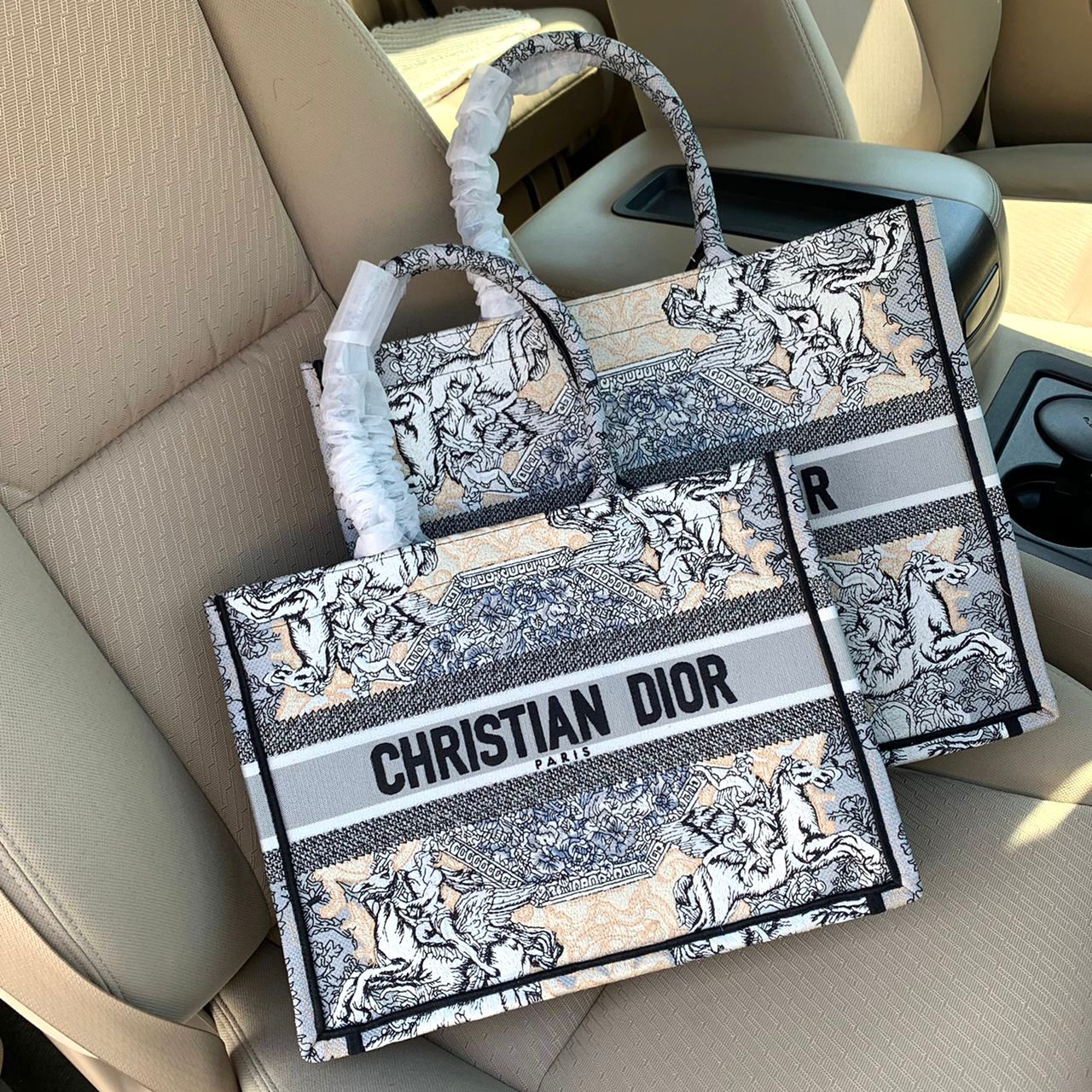 Large  Dior Book Tote Bag