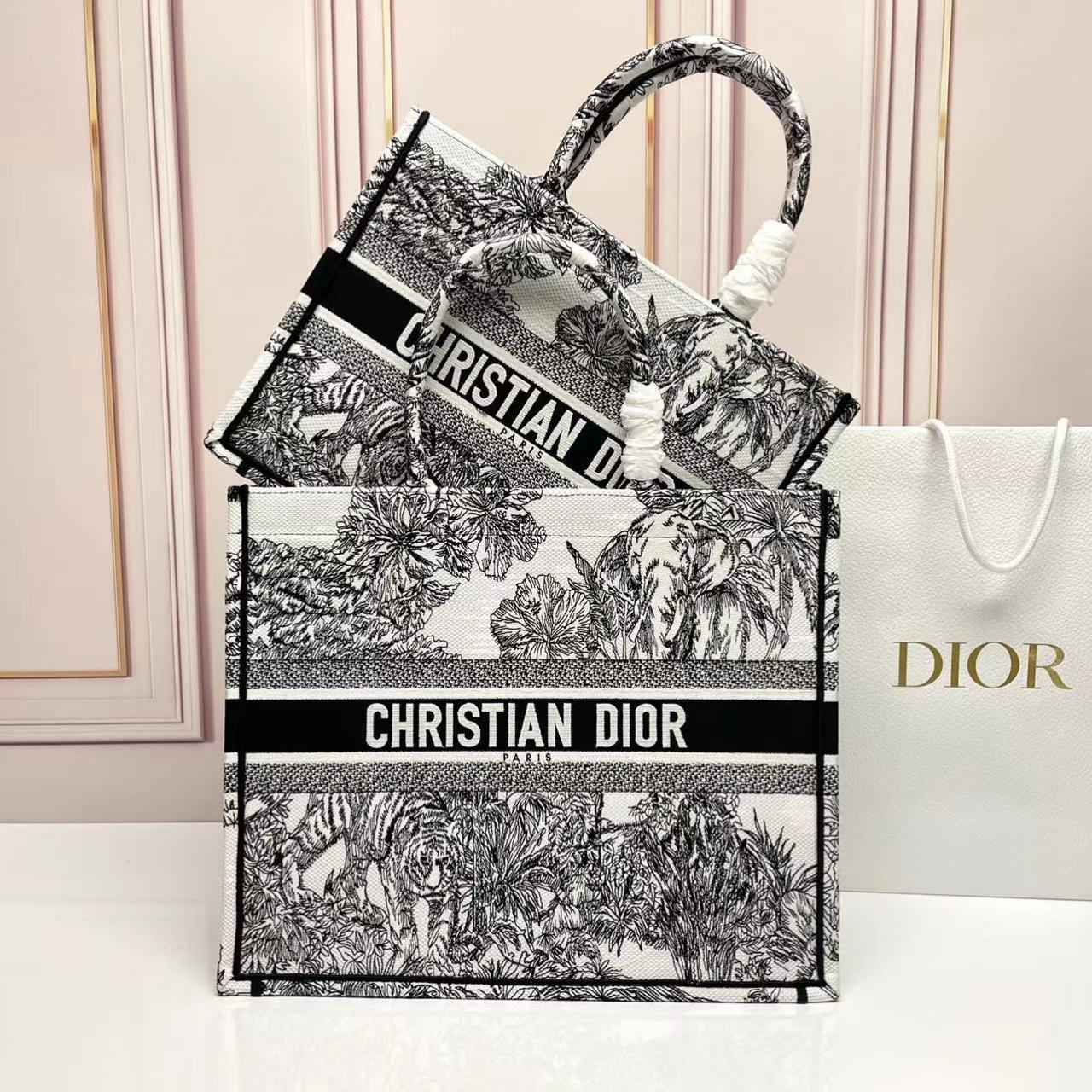 Medium Dior Book Tote Bag