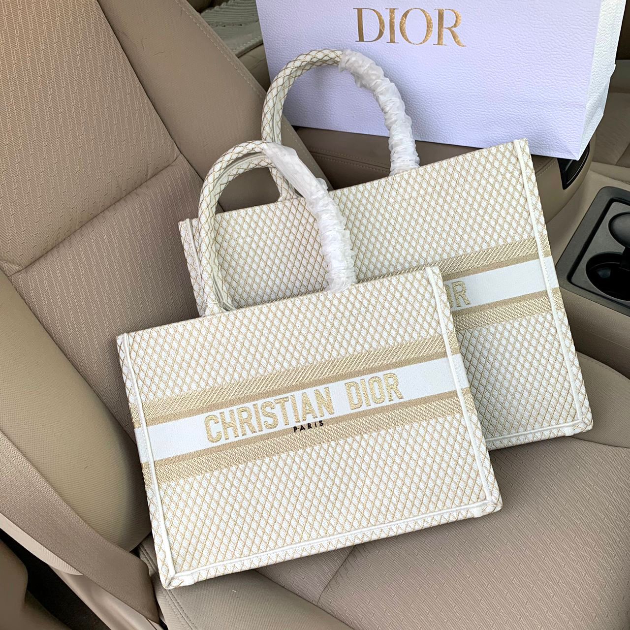 Medium Dior Book Tote Bag