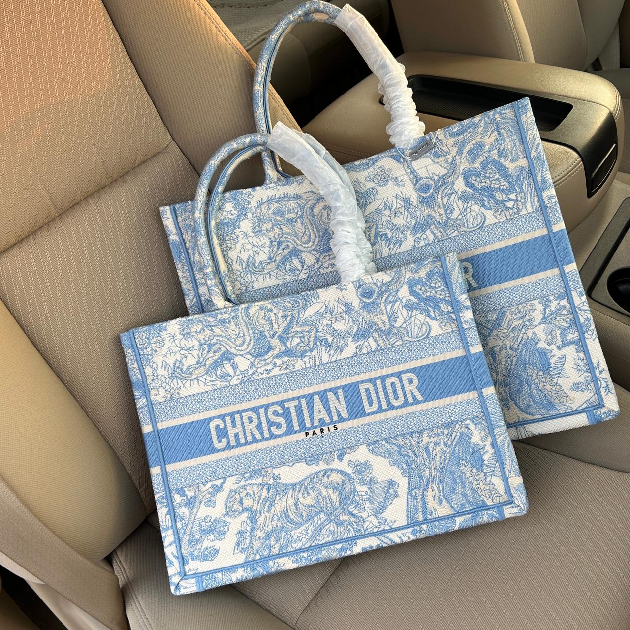 Medium Dior Book Tote Bag