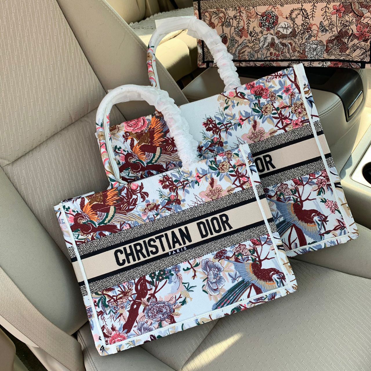 Medium Dior Book Tote Bag