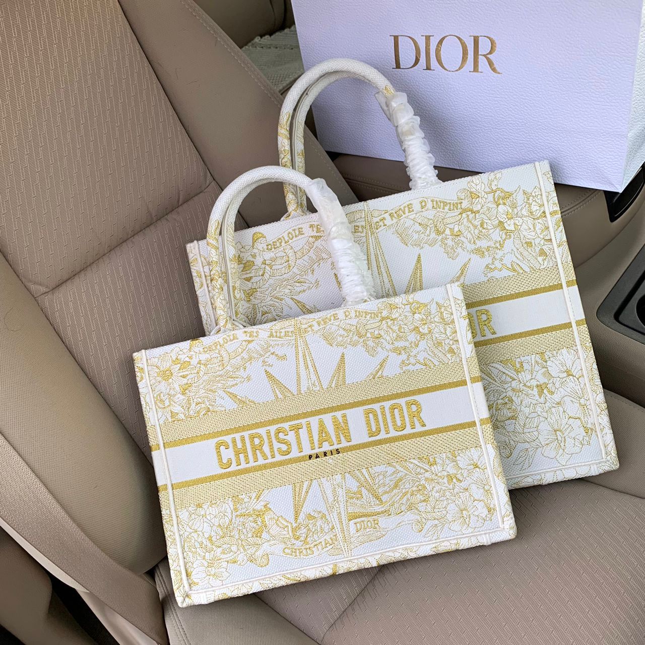 Medium Dior Book Tote Bag