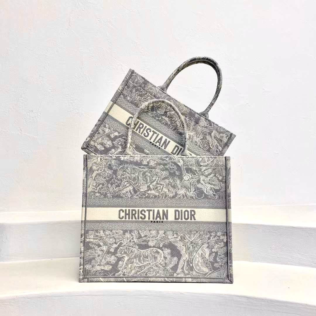 Dior Book Tote Bag