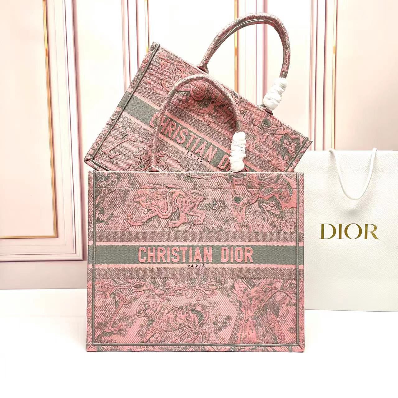 Dior Book Tote Bag