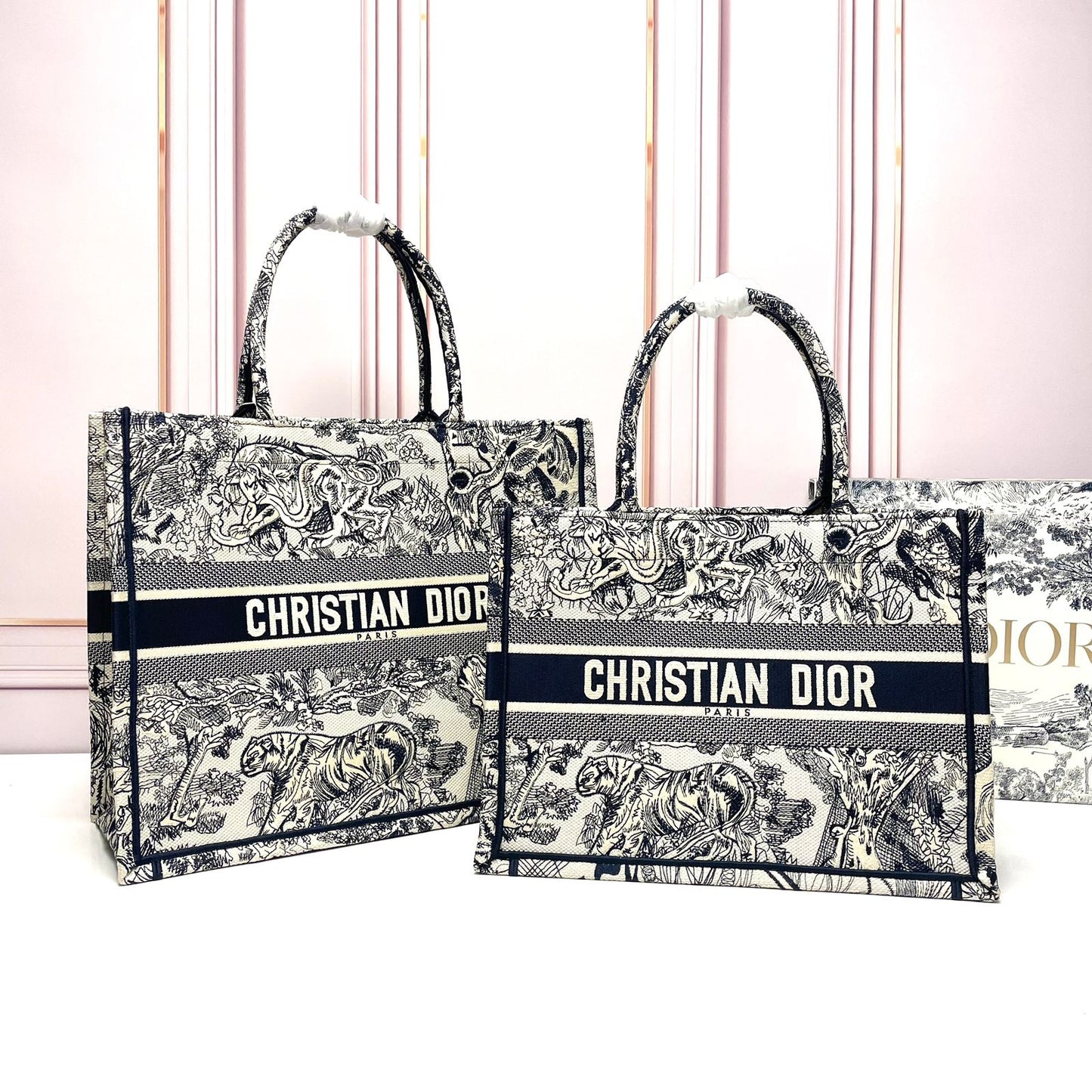 Dior Book Tote Bag