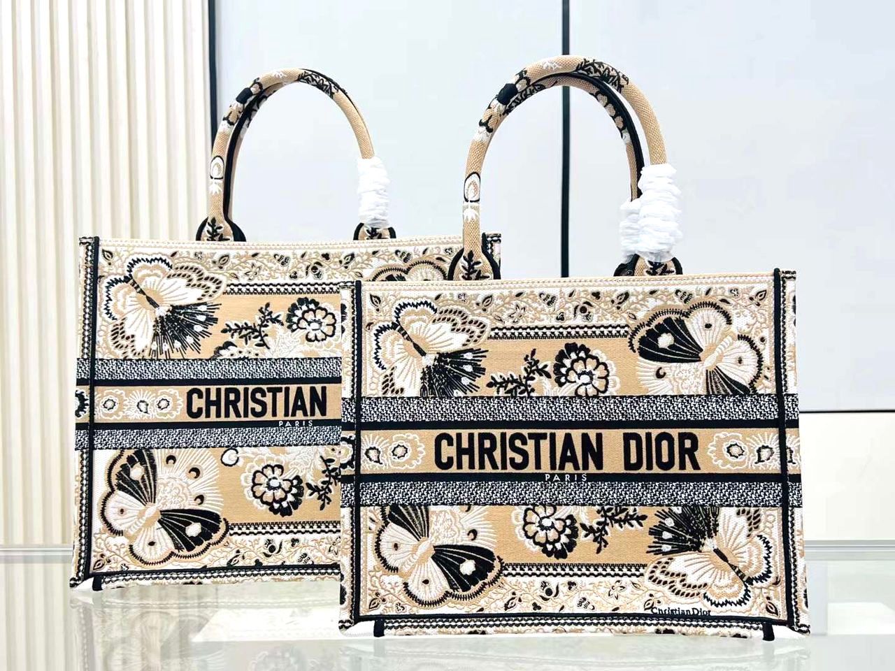 Dior Book Tote Bag