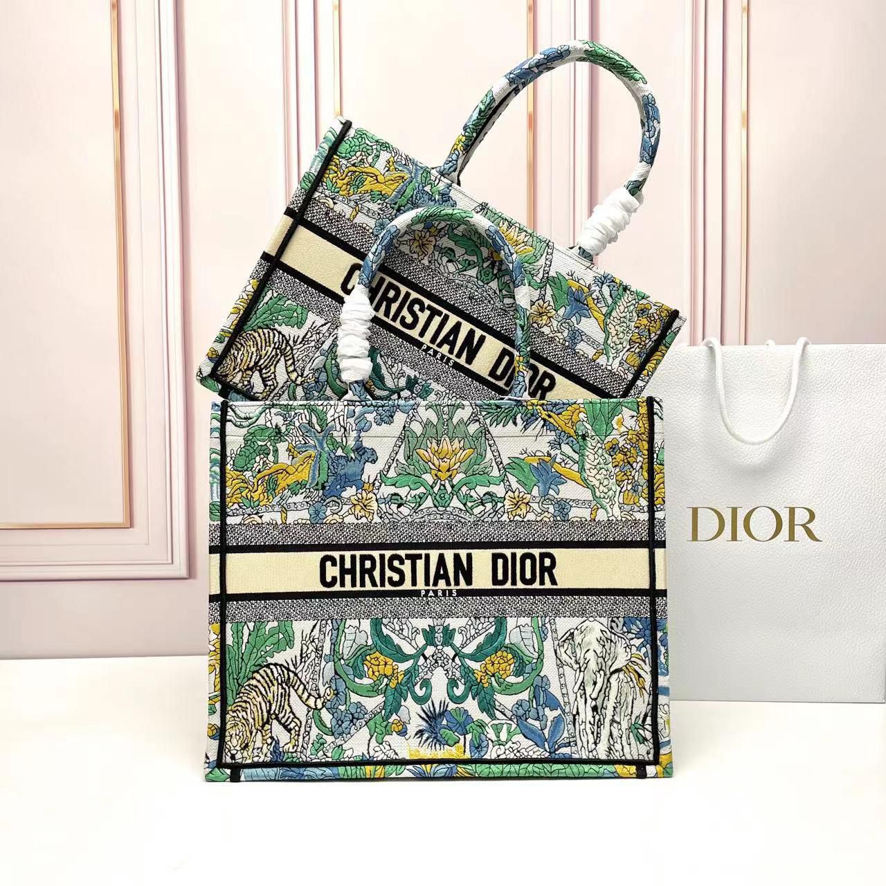 Dior Book Tote Bag