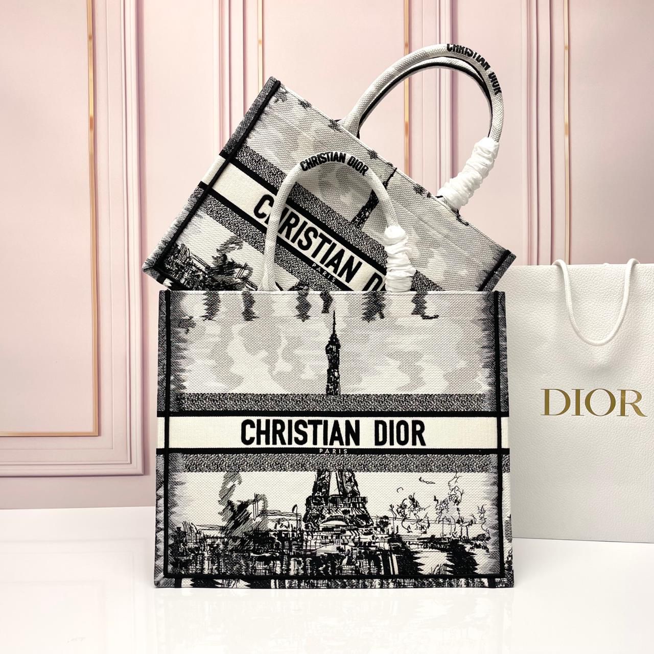 Dior Book Tote Bag