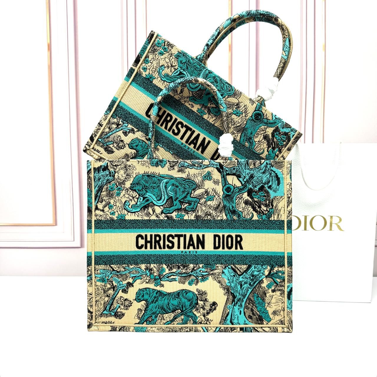 Dior Book Tote Bag