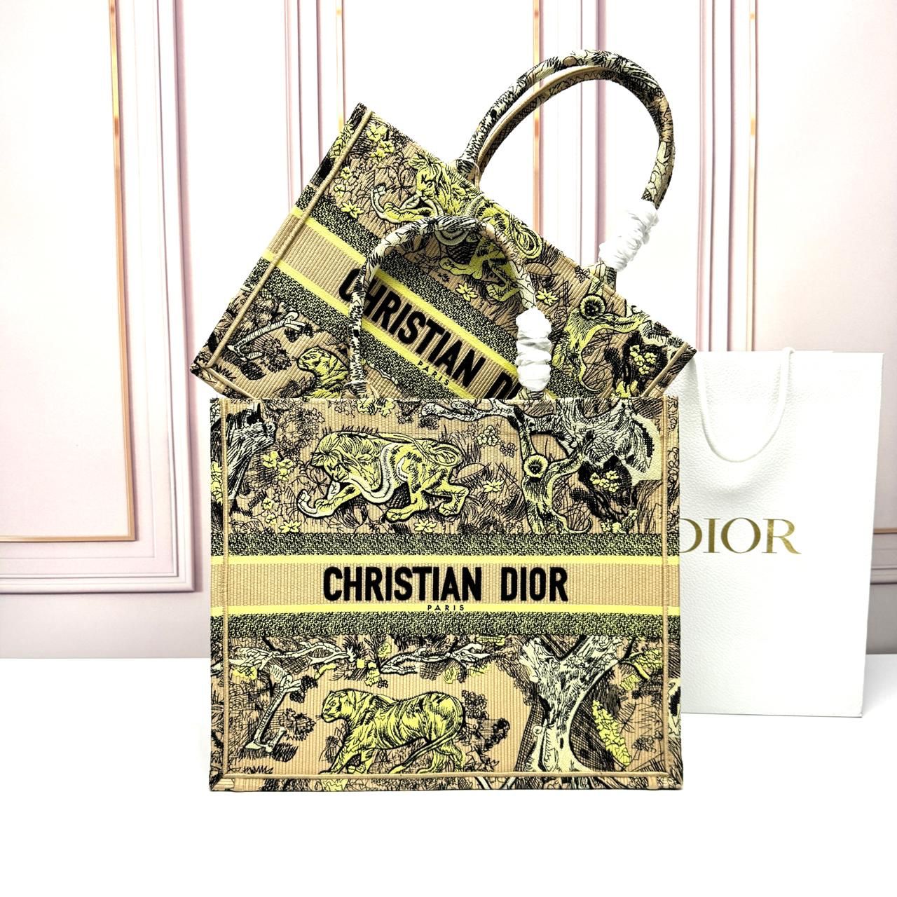 Dior Book Tote Bag