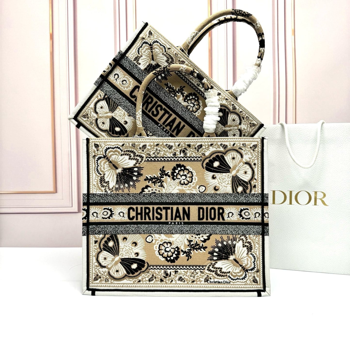 Dior Book Tote Bag