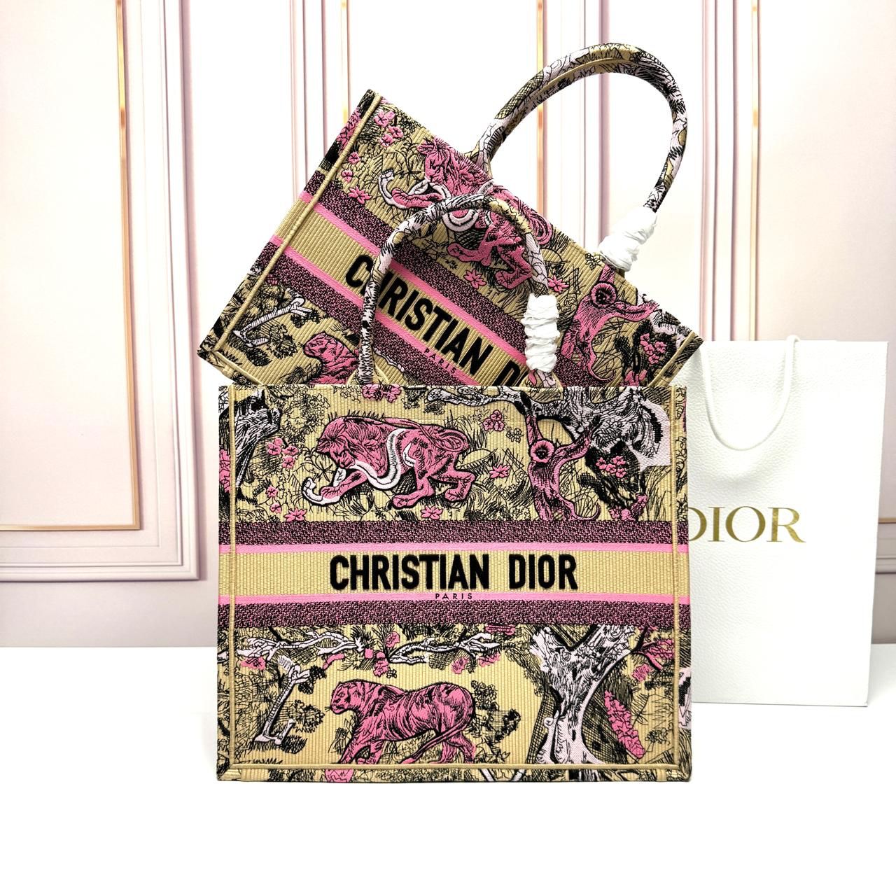 Dior Book Tote Bag