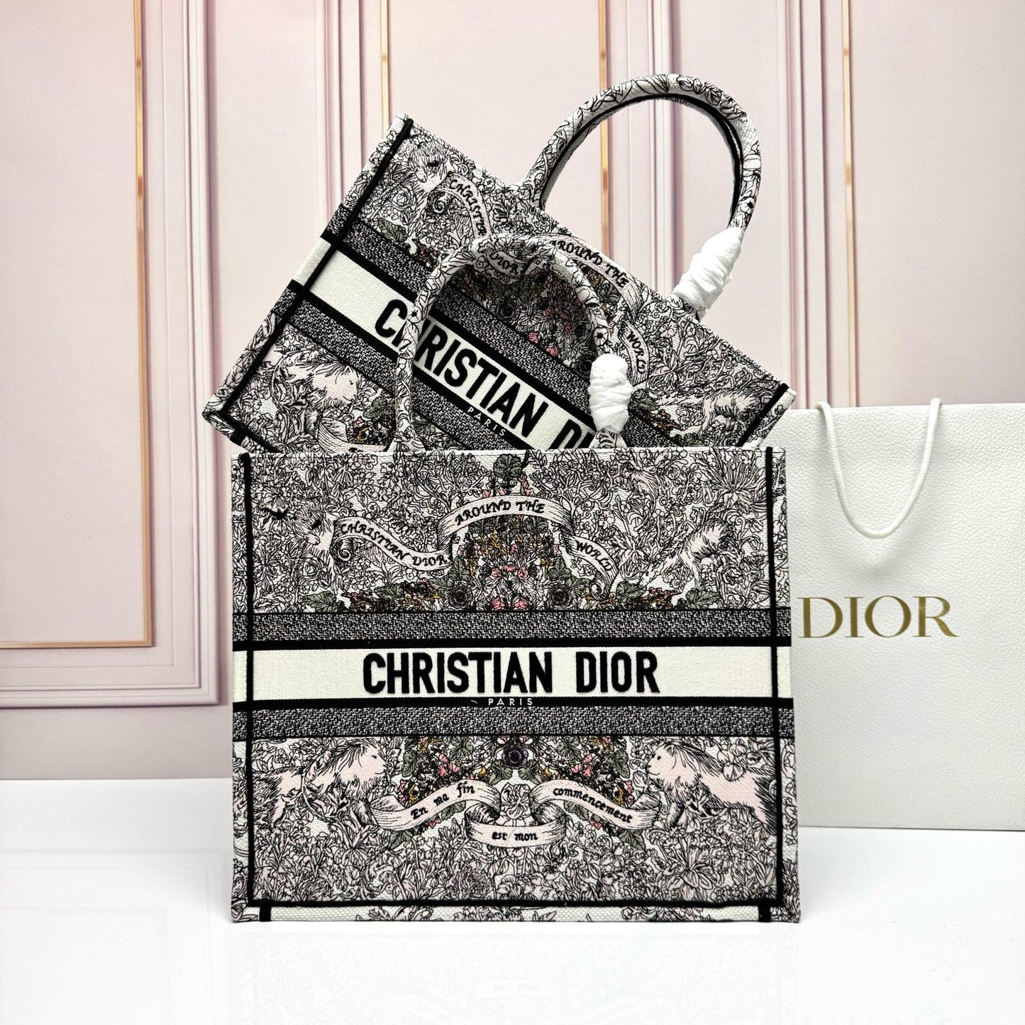 Dior Book Tote Bag