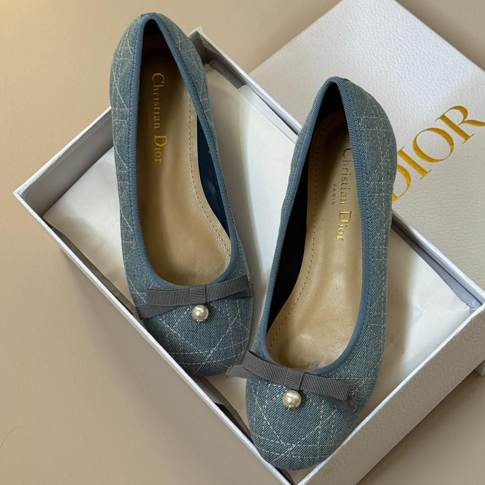 Dior Style #71 Shoes