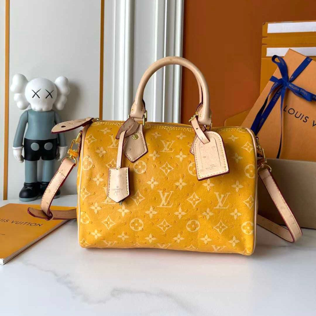 Louis Vuitton Style #15 Bags