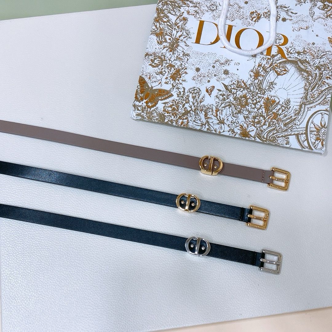 Dior Belt Style #17