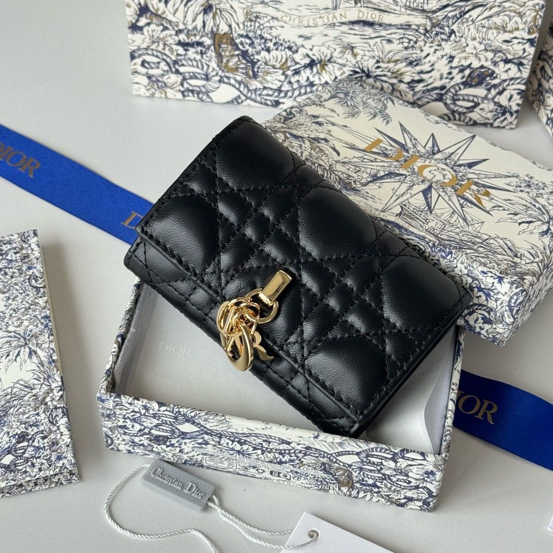 Dior Wallet Style #22