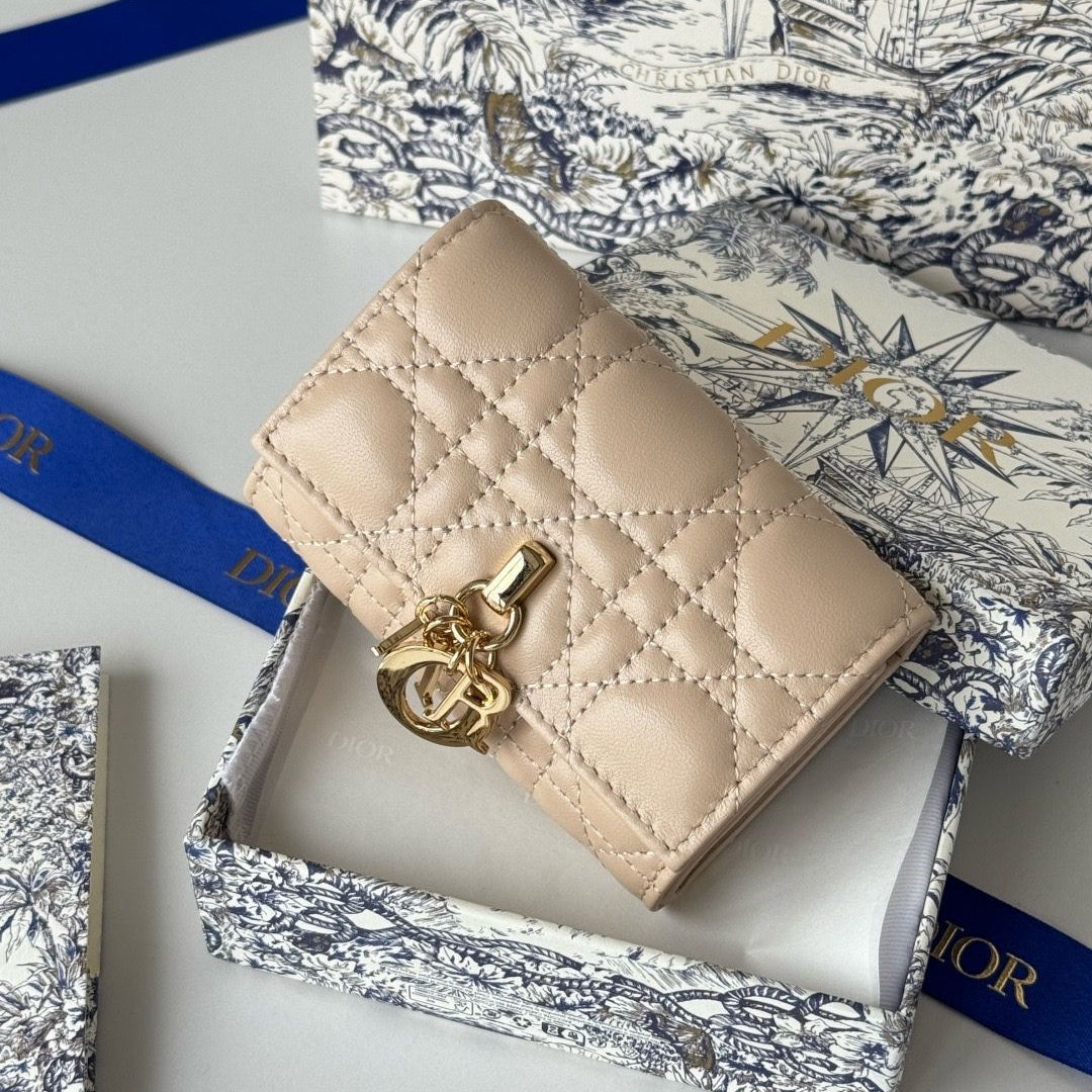 Dior Wallet Style #22