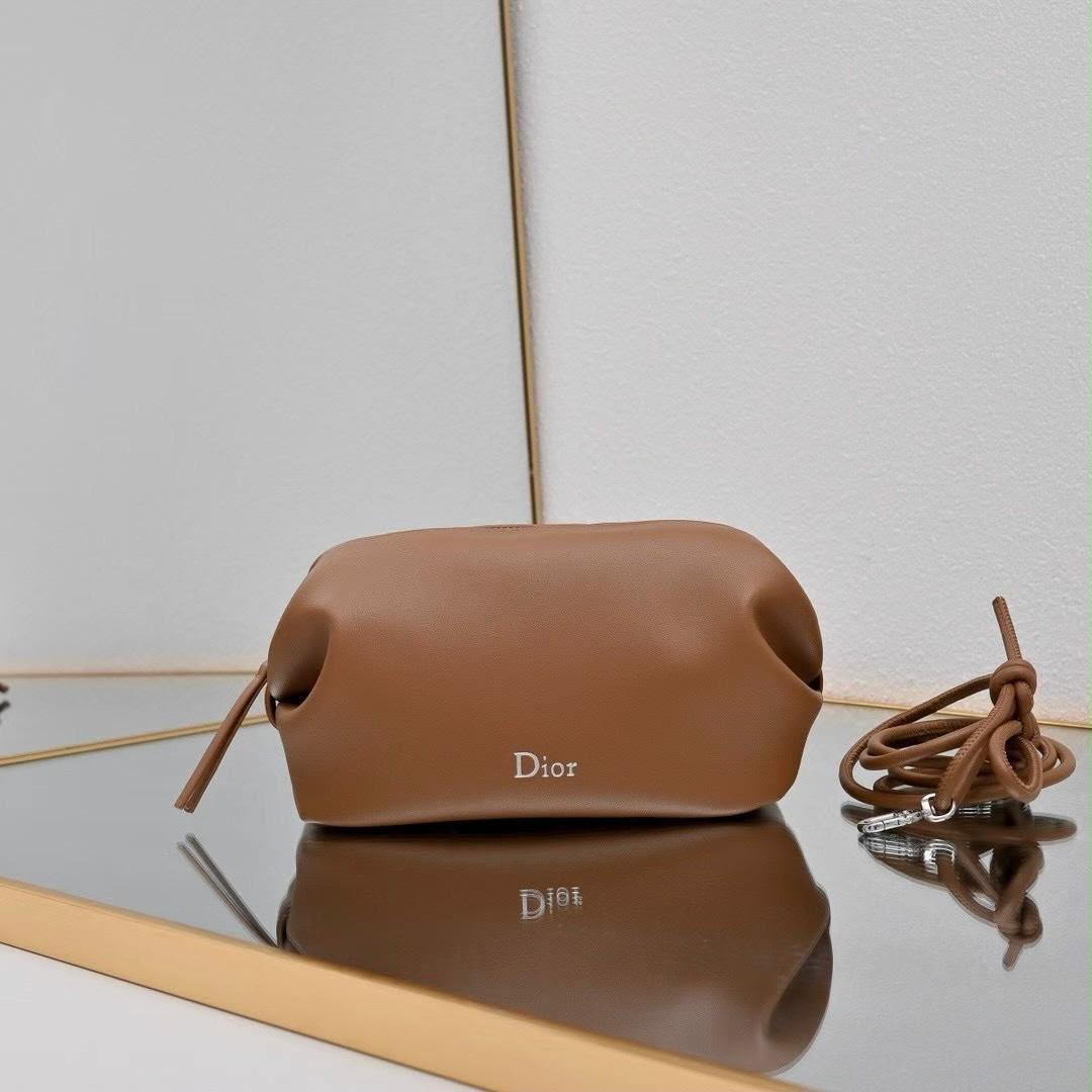 Dior Bow Pouch Bag