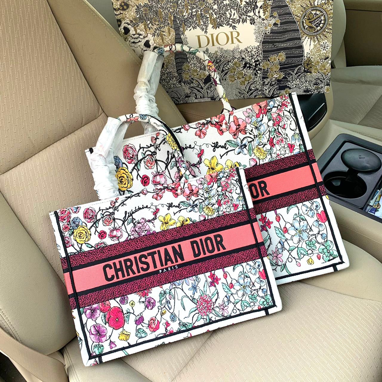 Medium Dior Book Tote Bag