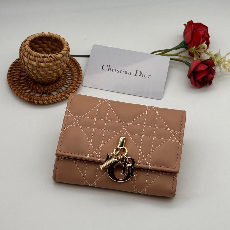 Dior Wallet Style #13