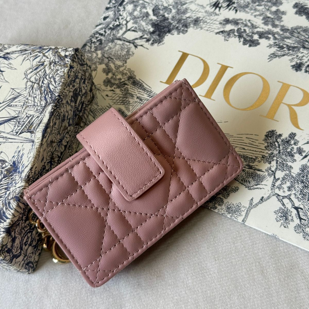 Dior Wallet Style #11