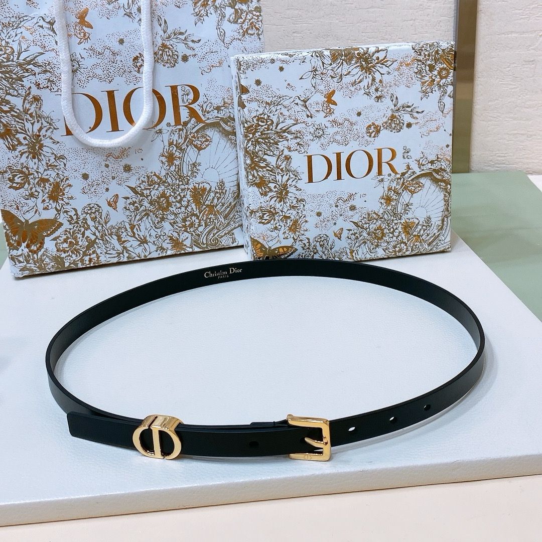 Dior Belt Style #17