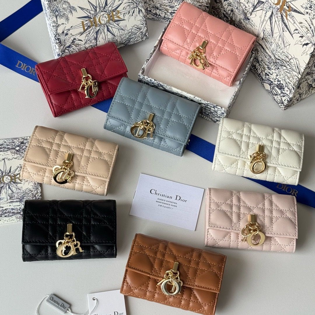 Dior Wallet Style #22