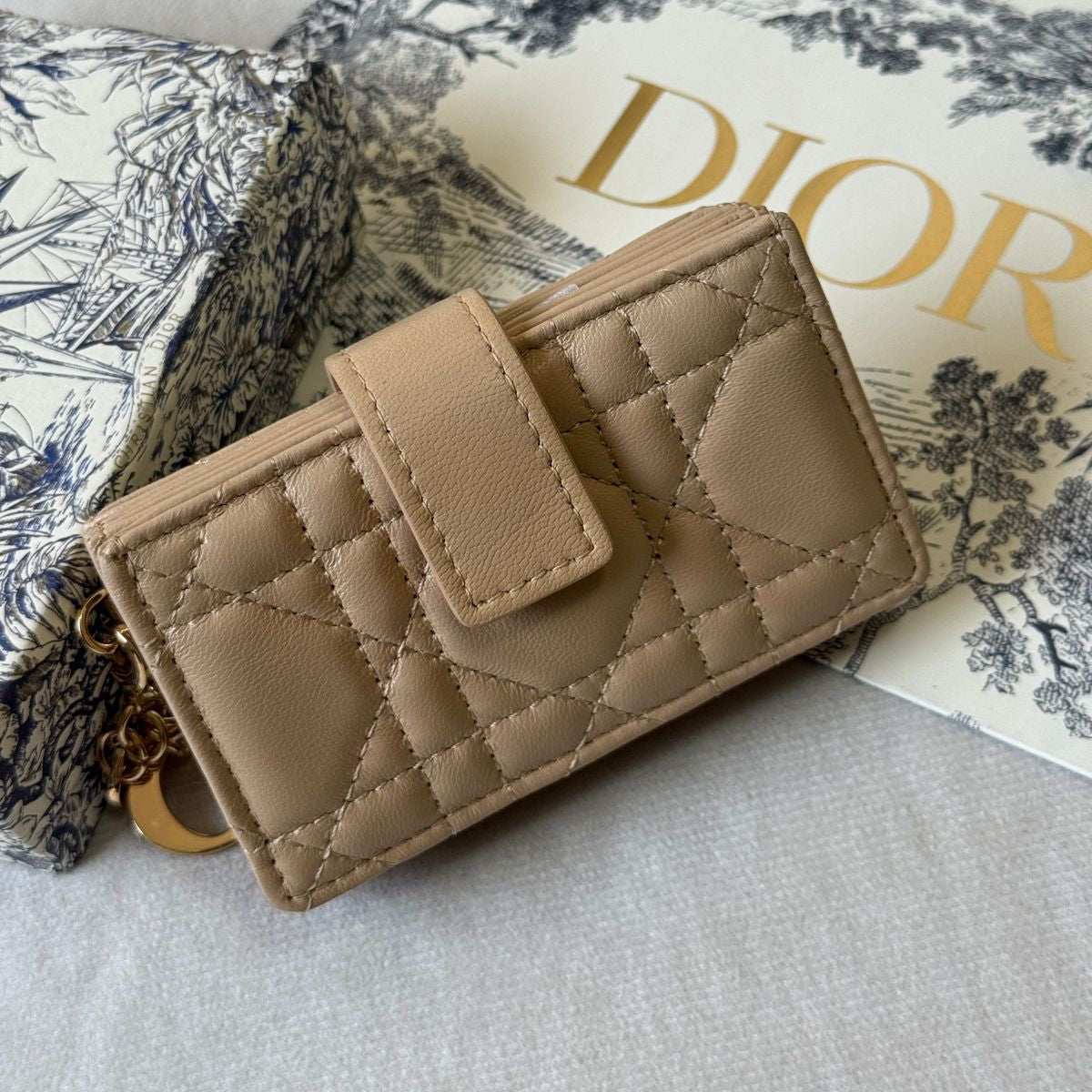 Dior Wallet Style #11