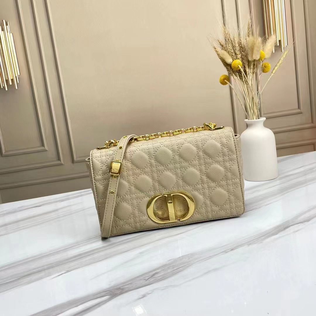 Dior Caro Bag