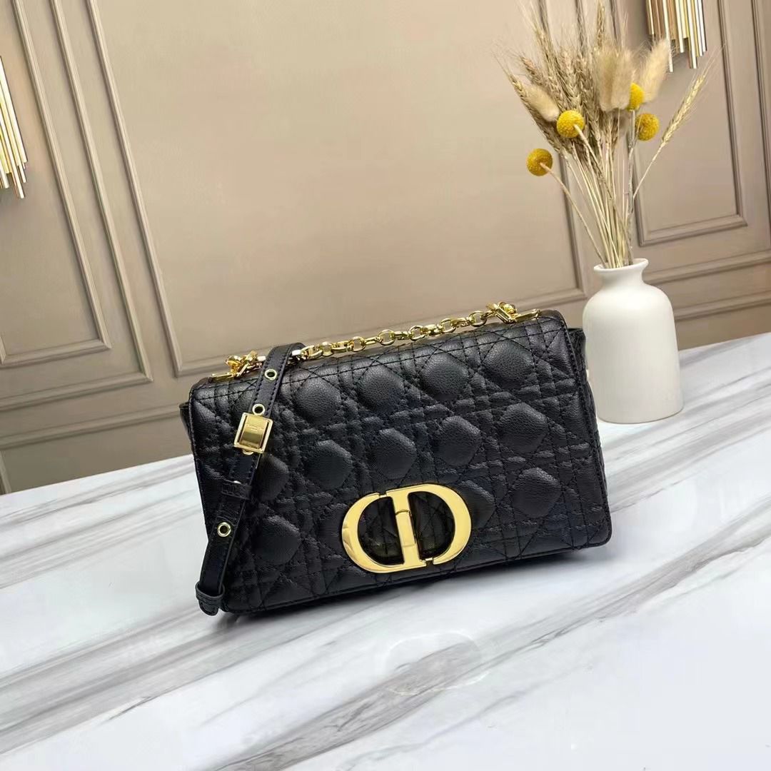 Dior Caro Bag