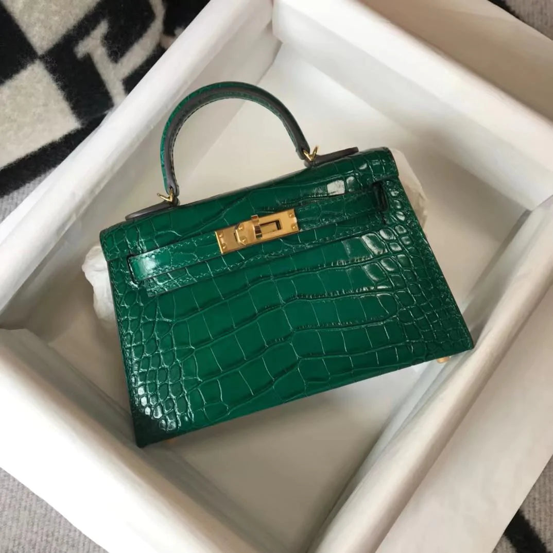 Kelly top crocodile bag